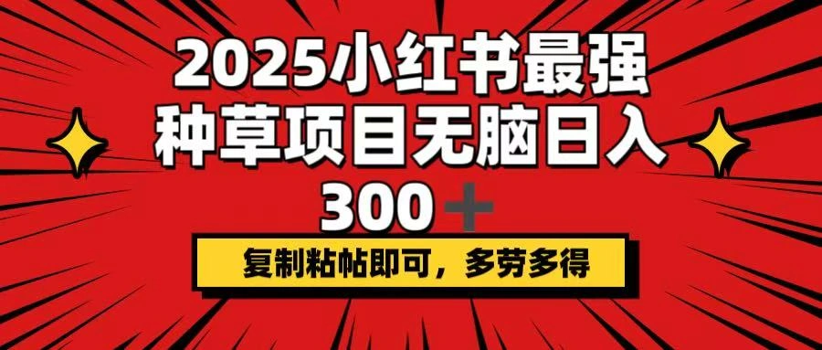 2025小红书最强种草项目，无脑日入300+，复制粘帖即可，多劳多得 - 福利组