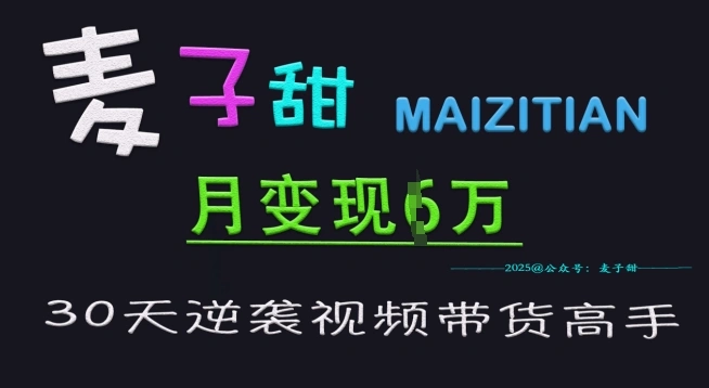 麦子甜30天逆袭视频带货高手，单月变现6W加特训营 - 福利组