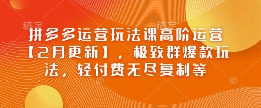 拼多多运营玩法课高阶运营【2月更新】，极致群爆款玩法，轻付费无尽复制等 - 福利组