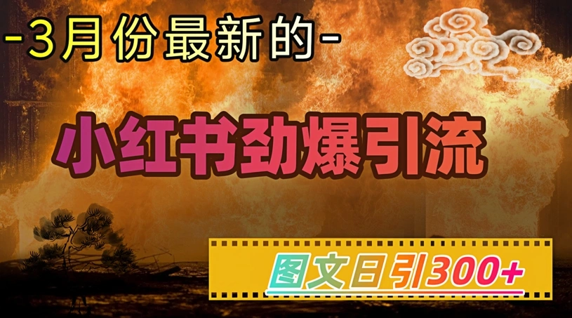小红书超劲爆引流手段，图文日引300+轻松变现1W - 福利组