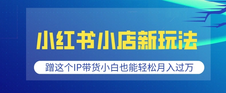 小红书小店新玩法，蹭这个IP带货，小白也能轻松月入过W【揭秘】 - 福利组