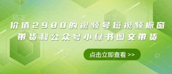 价值2980的视频号短视频橱窗带货和公众号小绿书图文带货 - 福利组