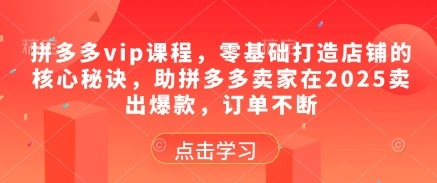 拼多多vip课程，零基础打造店铺的核心秘诀，助拼多多卖家在2025卖出爆款，订单不断- 福利组