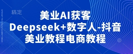 美业AI获客Deepseek+数字人-抖音美业教程电商教程 - 福利组
