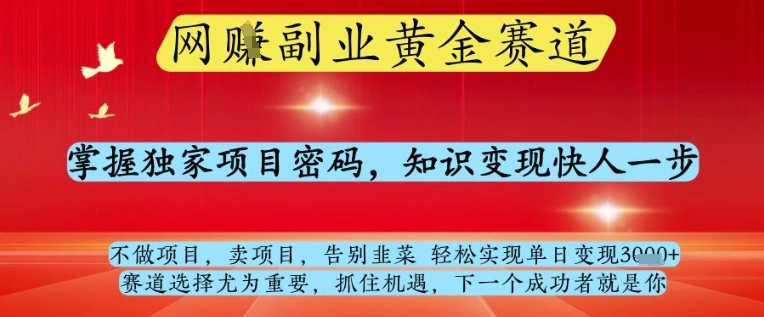 网创副业黄全赛道，掌握独家项目密码，知识变现快人一步，告别韭菜轻松实现单日变现1k+【揭秘】 - 福利组