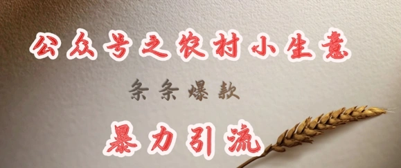 deepseek写农村小项目，条条爆款，暴力引流- 福利组