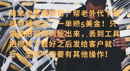 零门槛挣美金，海外视频代下服务，单笔收益40+，小白也能轻松上手 - 福利组