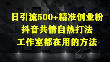 日引流500+精准创业粉，抖音共情自热打法，工作室都在用的方法 - 福利组
