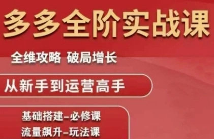 拼多多全阶实战课程，全维攻略，破局增长，从新手到运营高手- 福利组