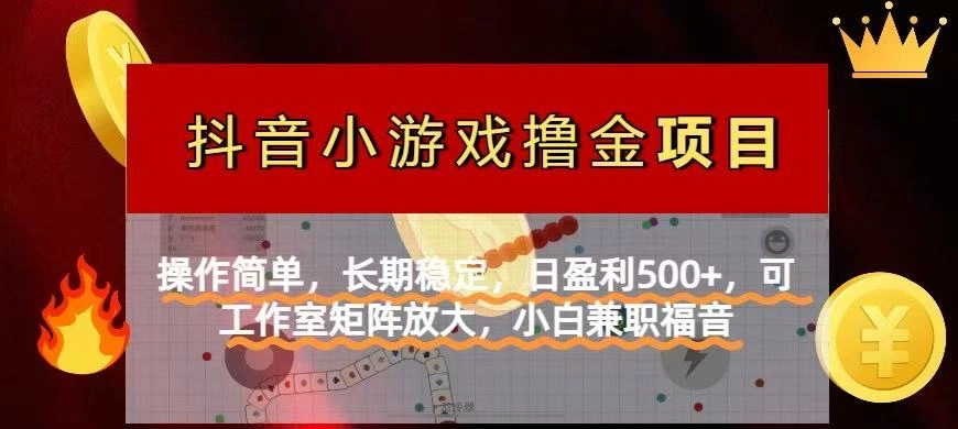 【抖音小游戏发行人计划项目】操作简单，长期稳定，日盈利500+，可工作… - 福利组