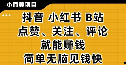 小而美的项目，抖音小红书B站视频点赞、关注、评论就能挣钱，简单无脑立见收益，妥妥的零撸项目【揭秘】- 福利组