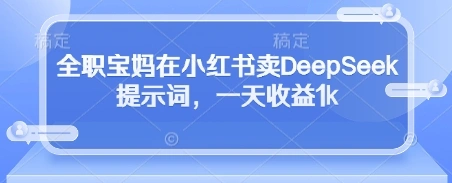 全职宝妈在小红书卖DeepSeek提示词，一天收益1k - 福利组