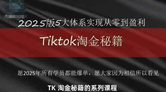 TikTok跨境2025淘金秘籍，?2025TikTok从0到盈利变现 - 福利组