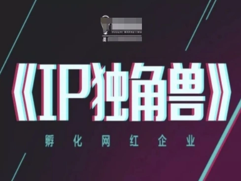 IP独角兽，孵化网红企业，ip教程- 福利组