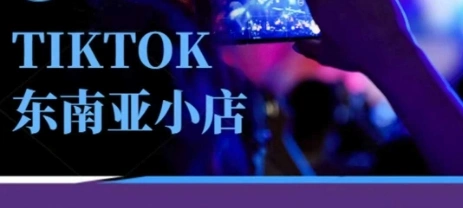 Tiktok东南亚跨境小店运营班，一门专业的TK小店运营培训课 - 福利组