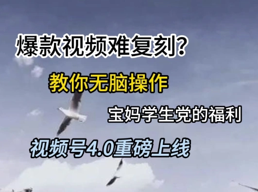 视频号4.0重磅上线，爆款视频难复刻？教你无脑操作宝妈学生党的福利【揭秘】 - 福利组