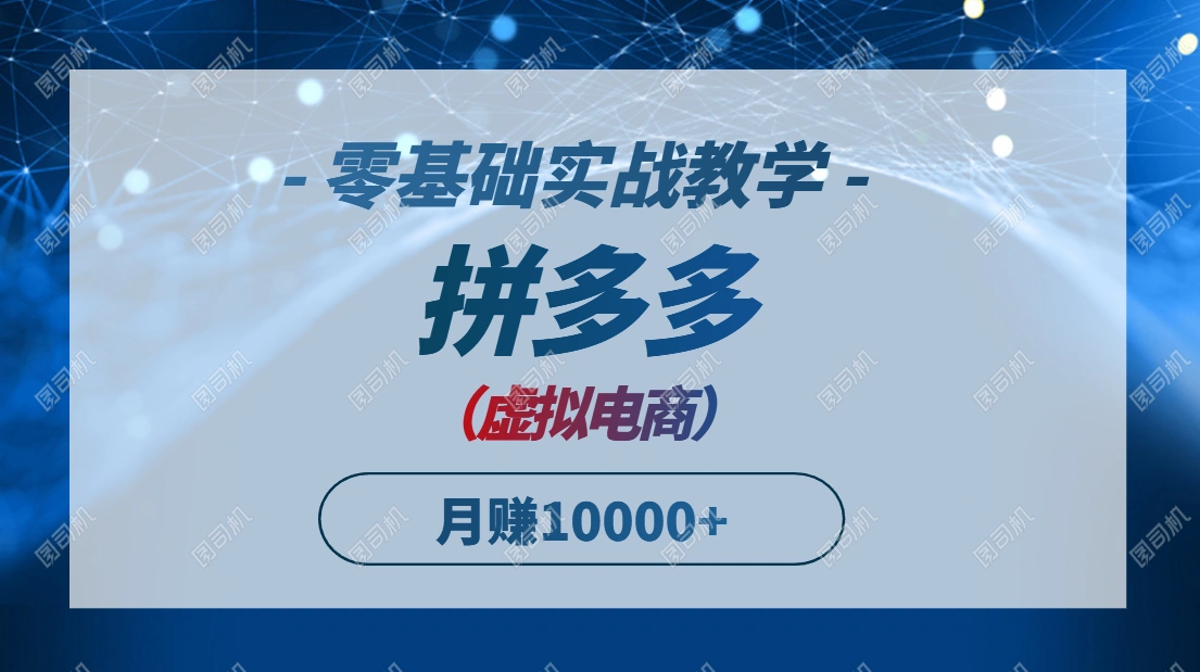 拼多多虚拟电商，零基础实战教学，快速打爆商品，新手也能月入10000+ - 福利组