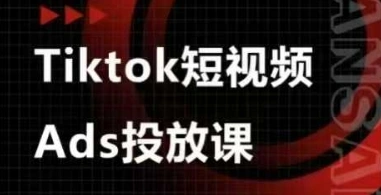 Ads视频投放课，tiktok短视频广告投放课 - 福利组