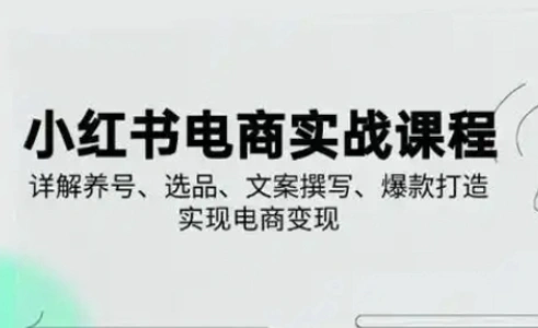 小红书从0-1实操课(2023-2025)，详解养号、选品、文案撰写、爆款打造实现电商变现 - 福利组