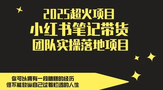2025超火项目，副业最佳选择，小红书笔记带货团队实操落地项目，，轻松日入5张 - 福利组