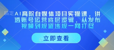 AI高阶自媒体项目实操课，讲透账号运营底层逻辑，从发布视频到规避违规一网打尽- 福利组