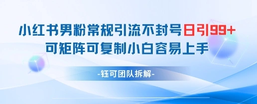 小红书男粉常规引流不封号日引99+变现简单 可矩阵可复制小白容易上手 - 福利组