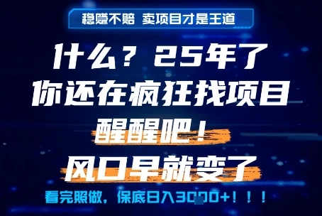 什么？25年你还在疯狂找项目做，醒醒吧，看完这些你全都懂了！【揭秘】 - 福利组