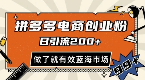 拼多多引流电商创业粉，日引200+，可矩阵放大，做了就有效【揭秘】 - 福利组