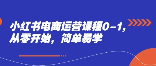 小红书电商运营课程0-1，从零开始，简单易学 - 福利组
