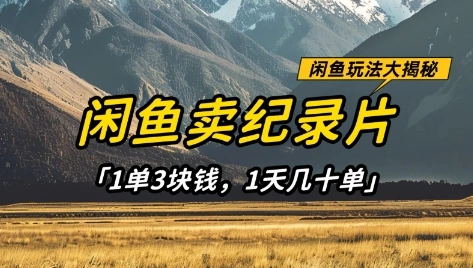 闲鱼卖纪录片1单3块钱，1天几十单，项目稳定有潜力 - 福利组