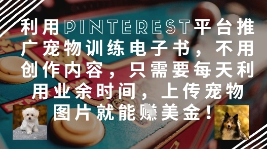 利用Pinterest平台推广宠物训练电子书，不用创作内容，只需要每天利用业余时间，上传宠物图片就能挣美金! - 福利组