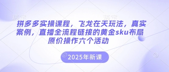 拼多多实操课程，飞龙在天玩法，真实案例，直播全流程链接的黄金sku布局原价操作六个活动 - 福利组