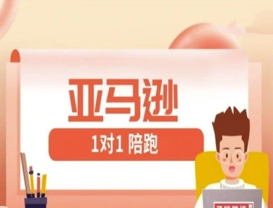 亚马逊1对1陪跑课(FBA/FBM精铺)跨境亚马逊教程 - 福利组