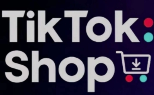 TikTokShop跨境电商0-1实战，手把手教你低成本启动海外市场(更新)- 福利组