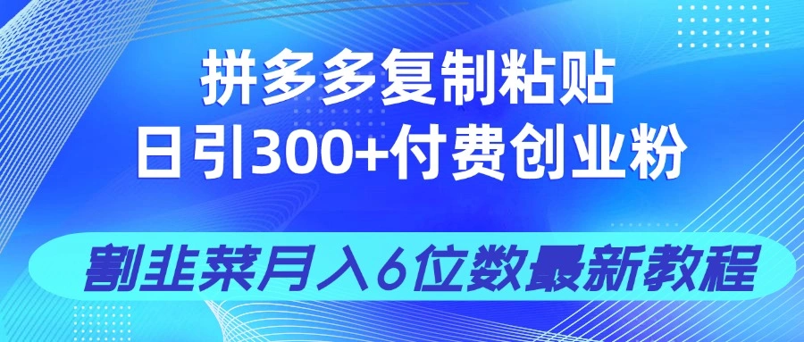 拼多多复制粘贴日引300+付费创业粉，割韭菜月入6位数最新教程！ - 福利组