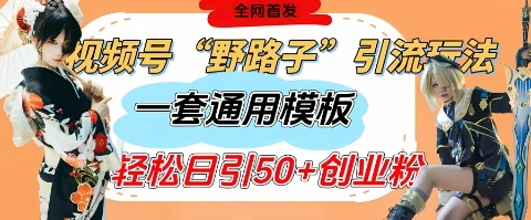 视频号“野路子”玩法，评论区疯狂截流，一套模板单日单号引流50+创业粉 - 福利组