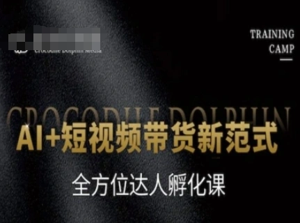 AI+短视频带货新范式，全方位达人孵化课 - 福利组