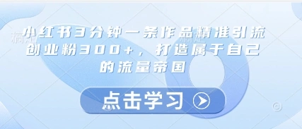 小红书3分钟一条作品精准引流创业粉300+，打造属于自己的流量帝国 - 福利组