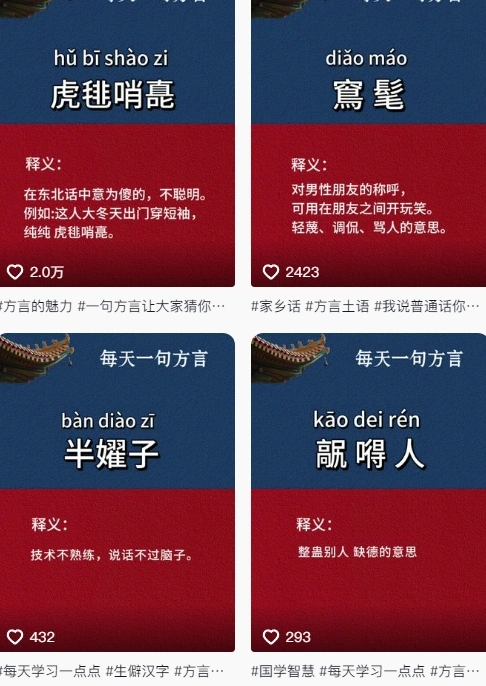 抖音最新涨粉玩法，图文方言暴力涨粉实操，126作品涨粉11W- 福利组