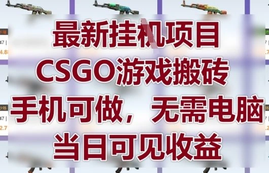 最新挂G项目，CSGO游戏搬砖，手机可做，无需电脑，当日见收益【揭秘】 - 福利组