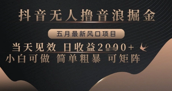 抖音无人撸音浪掘金，五月最新风口项目，当天见效，日收益多张，小白可做简单粗暴可矩阵【揭秘】 - 福利组