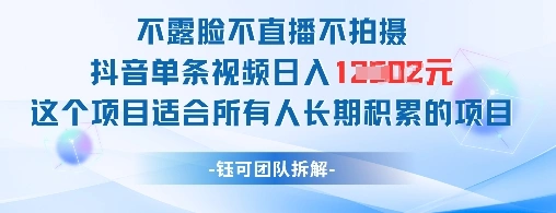 不露脸不直播不拍摄抖音单条视频日入1k+这个项目适合所有人长期积累的项目 - 福利组
