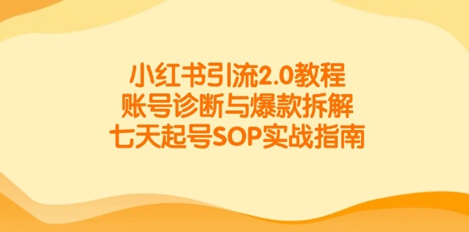 小红书引流2.0教程，账号诊断与爆款拆解，七天起号SOP实战指南 - 福利组