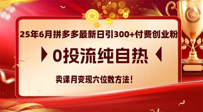 25年6月拼多多最新日引300+付费创业粉，0投流纯自热 卖课月变现六位数方法 - 福利组