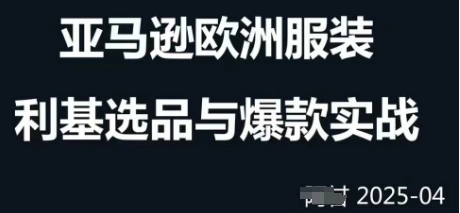 跨境电商选品案例24-25年，聚焦跨境电商选品策略与运营优化，助力卖家挖掘蓝海市场 - 福利组