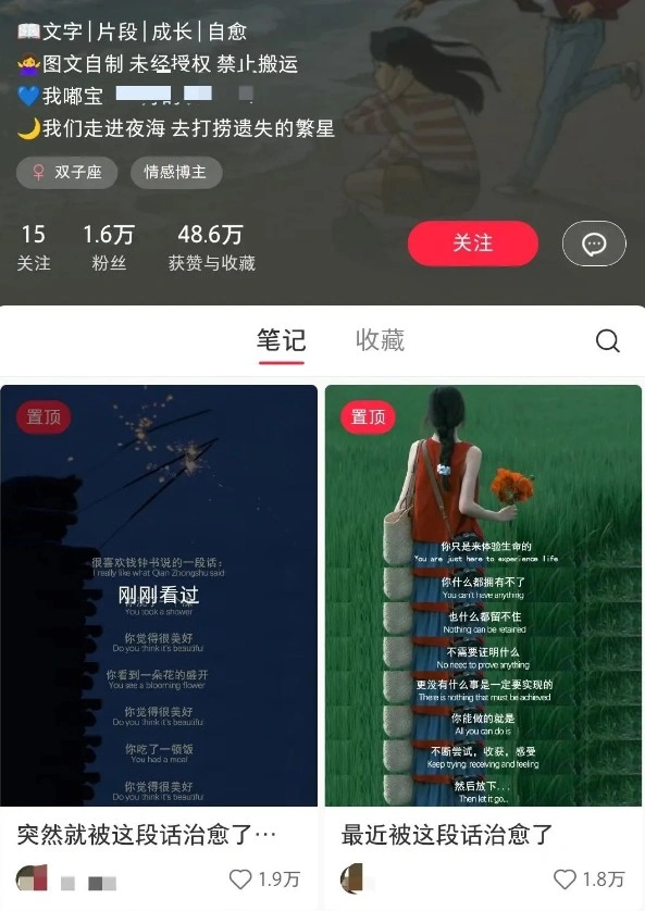 小红书治愈文案图文笔记，零门槛，一分钟制作轻松制作爆款作品月入万元 - 福利组