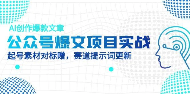公众号爆文项目实战，AI创作爆款文章，起号素材对标赠(附赛道AI提示词 - 福利组