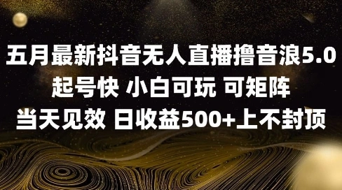 2025五月最新无人直播撸音浪单日产出5张+实操教程【揭秘】- 福利组