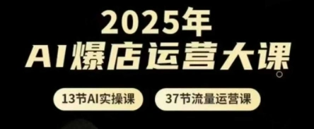 2025年AI爆店运营大课，13节AI实操课+37节流量运营课 - 福利组