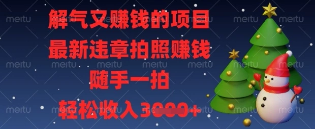 解气又挣钱的项目，最新违章拍照挣钱，随手一拍，轻松收入数张【揭秘】 - 福利组